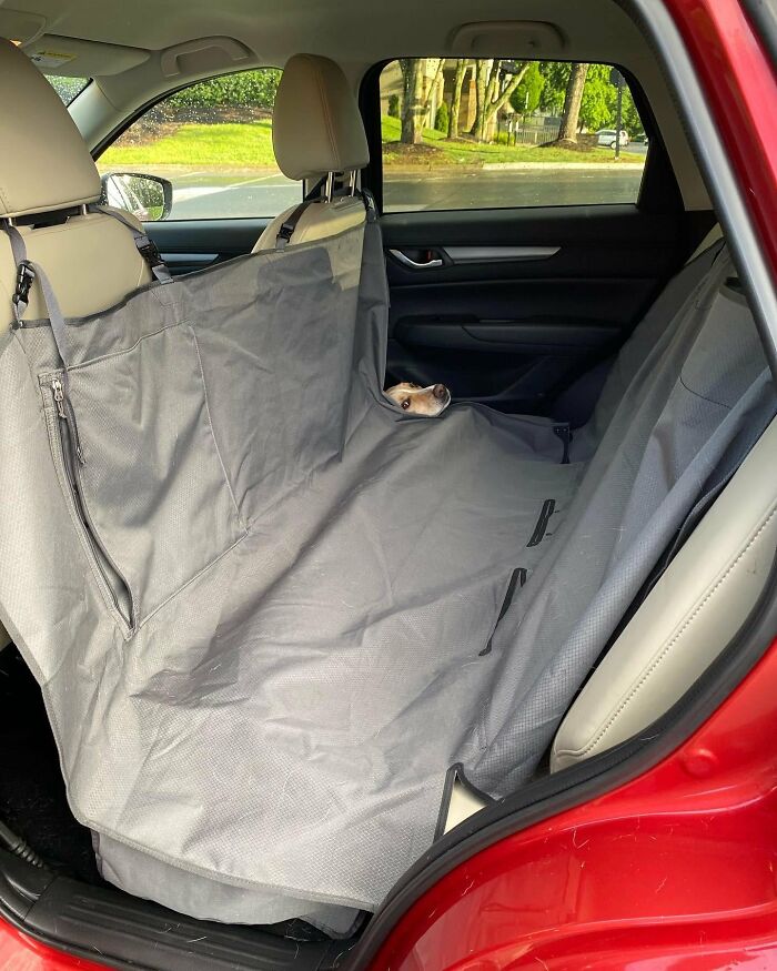 She Wasn’t Ready To Get Out Of The Car