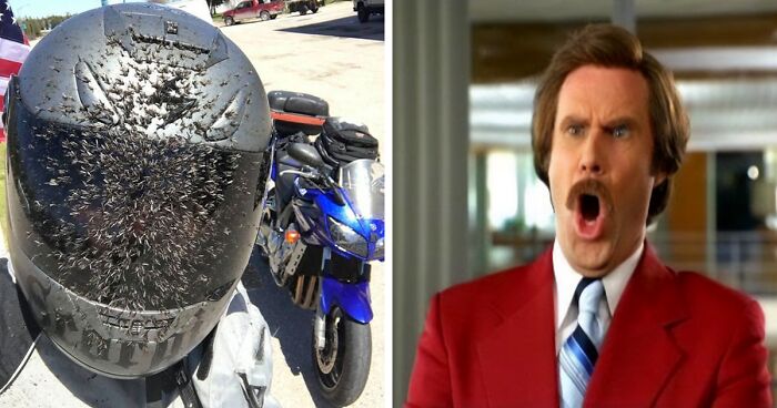 50 Reasons Why Not Wearing A Helmet Is The Dumbest Thing You Can Do (New Pics)