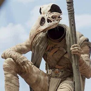 silverdragon381 avatar