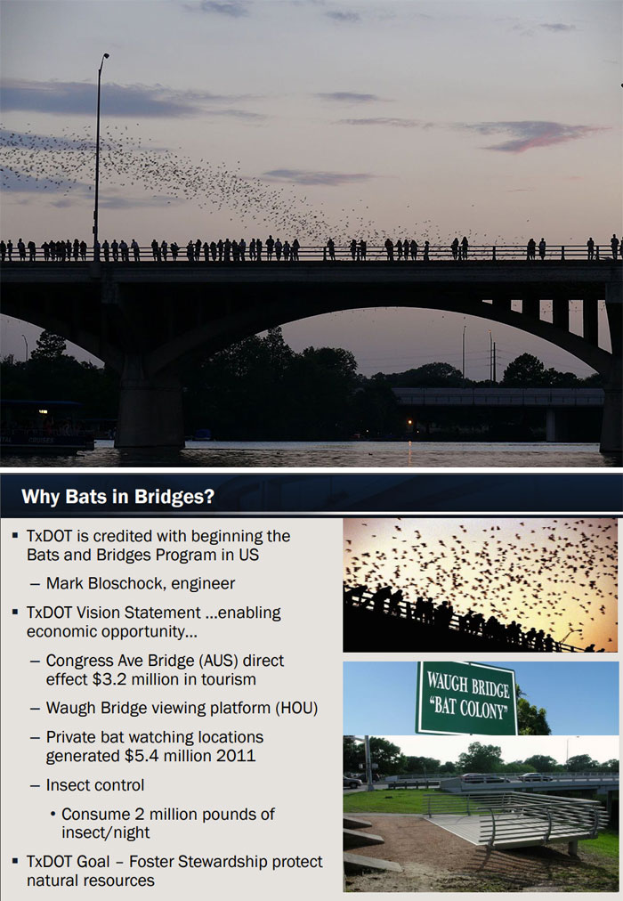 Bat-Friendly Spacing In Bridges, Texas And Elsewhere
