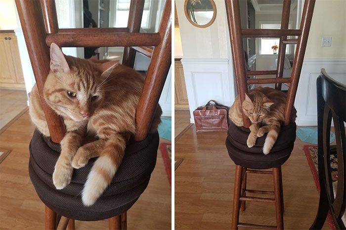 In Stacked Chairs While Mom Mops The Kitchen
