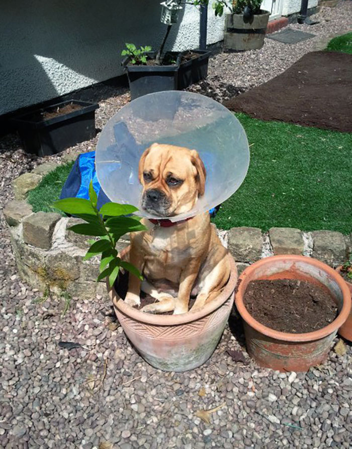 Fine. I'm Just Going To Sit Here Until You Take It Off