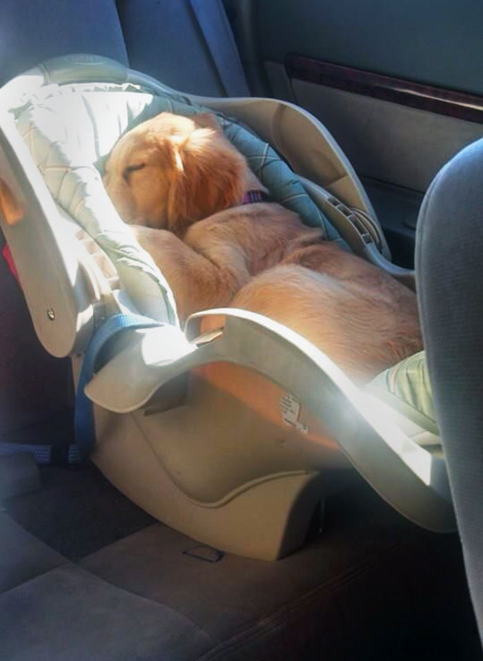 The Baby Is Sleeping