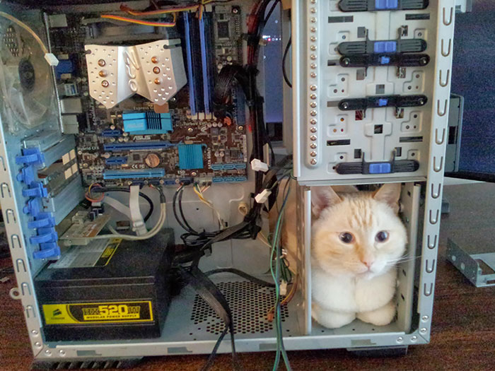 Did I Make It Right?