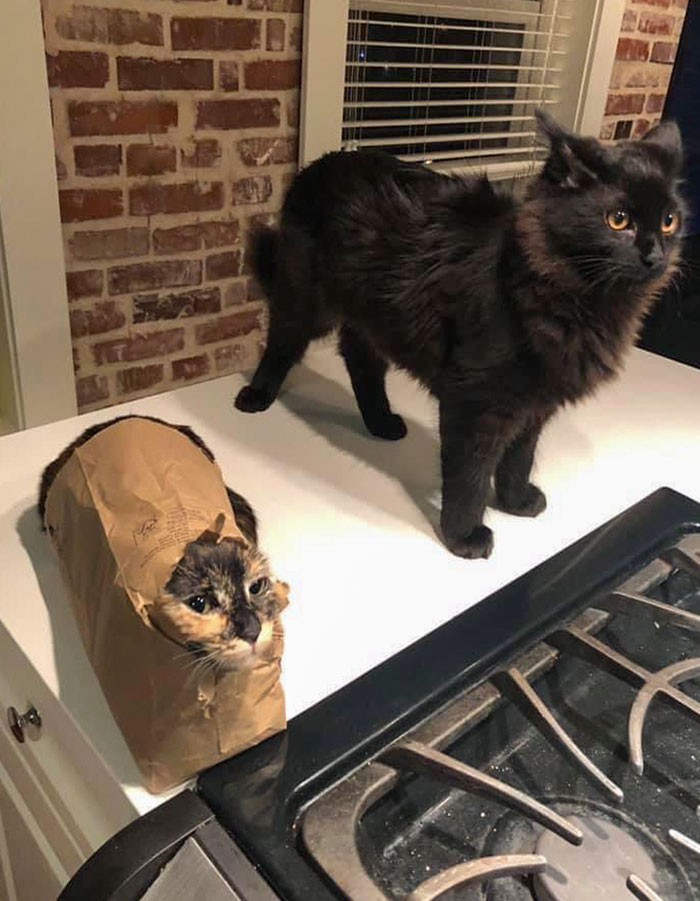 There Are Two Types Of People