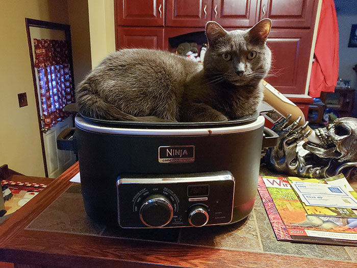 I Just Washed This, Thanks