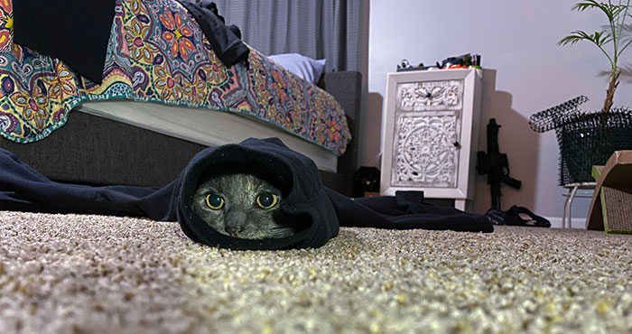 I Don’t Know If This Fits Here If It Does Please Let Me Know