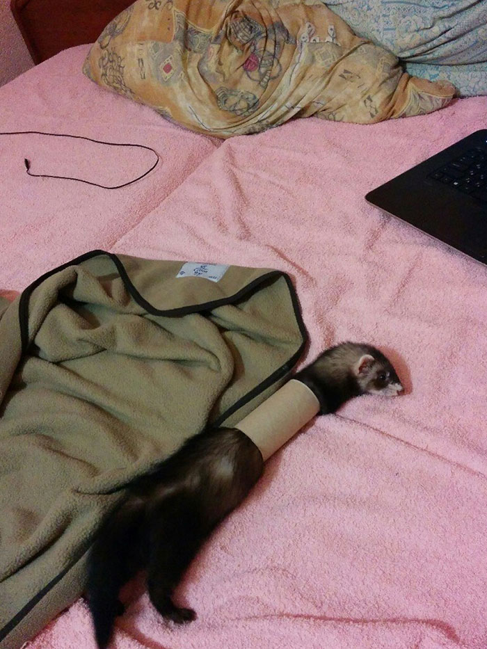 I Just Left The Room For 10 Minutes