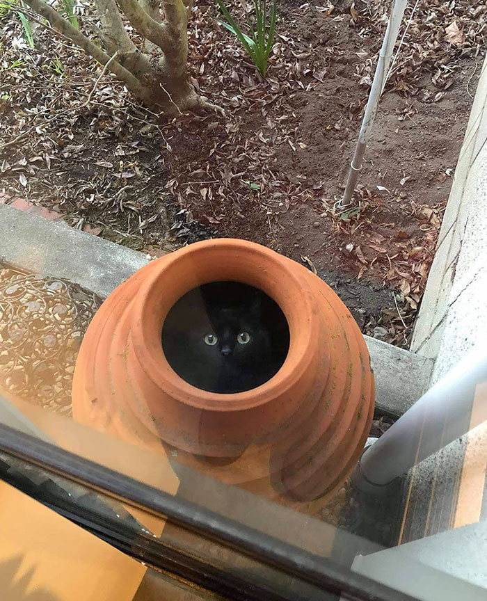 I'm Waiting To Bloom