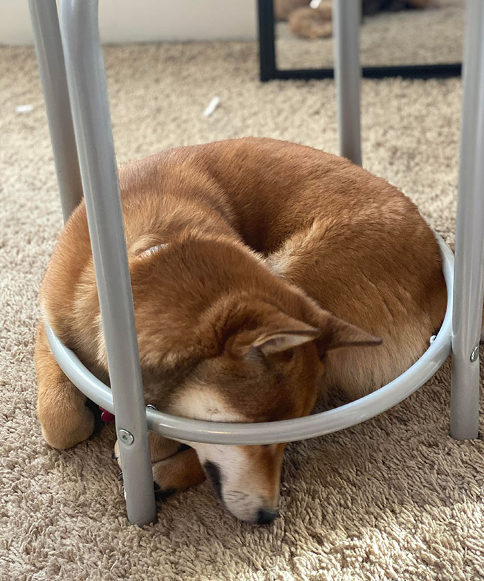 Ah Yes, The Perfect Fit