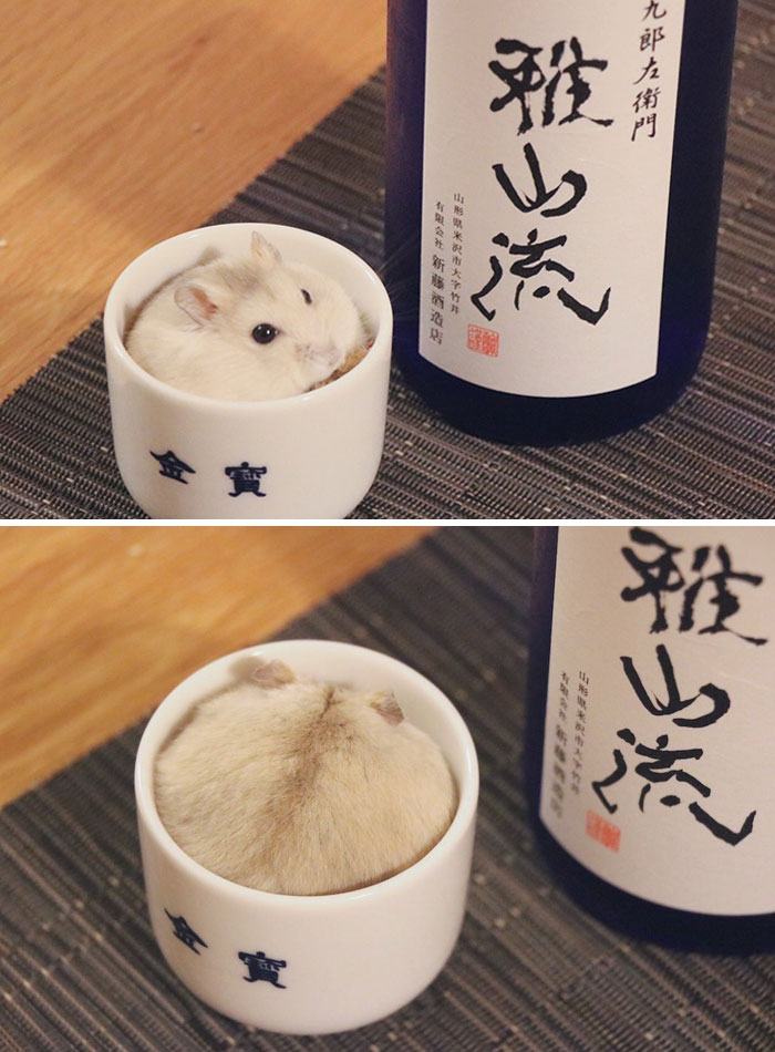 He Found A New Eating Spot