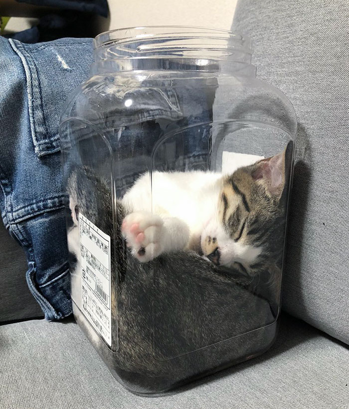 Could You Really Not Find Another Place To Sleep?