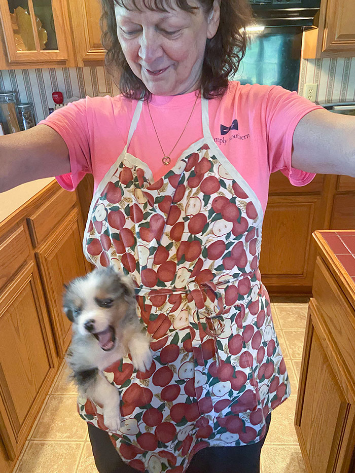 My Mom Puts Their Puppy In Her Apron Pocket When She Preps Dinner And I’m Not Sure Who Enjoys It More