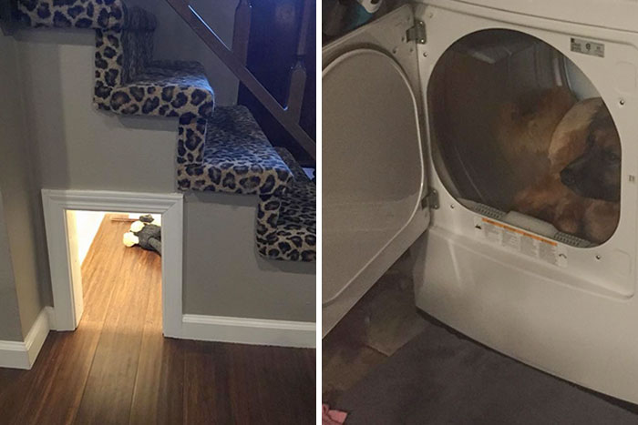 I Built A Sound-Proofed, Built-In Doghouse Under My Stairs, So Bucky Would Have A Safe Place To Hide When He Got Scared