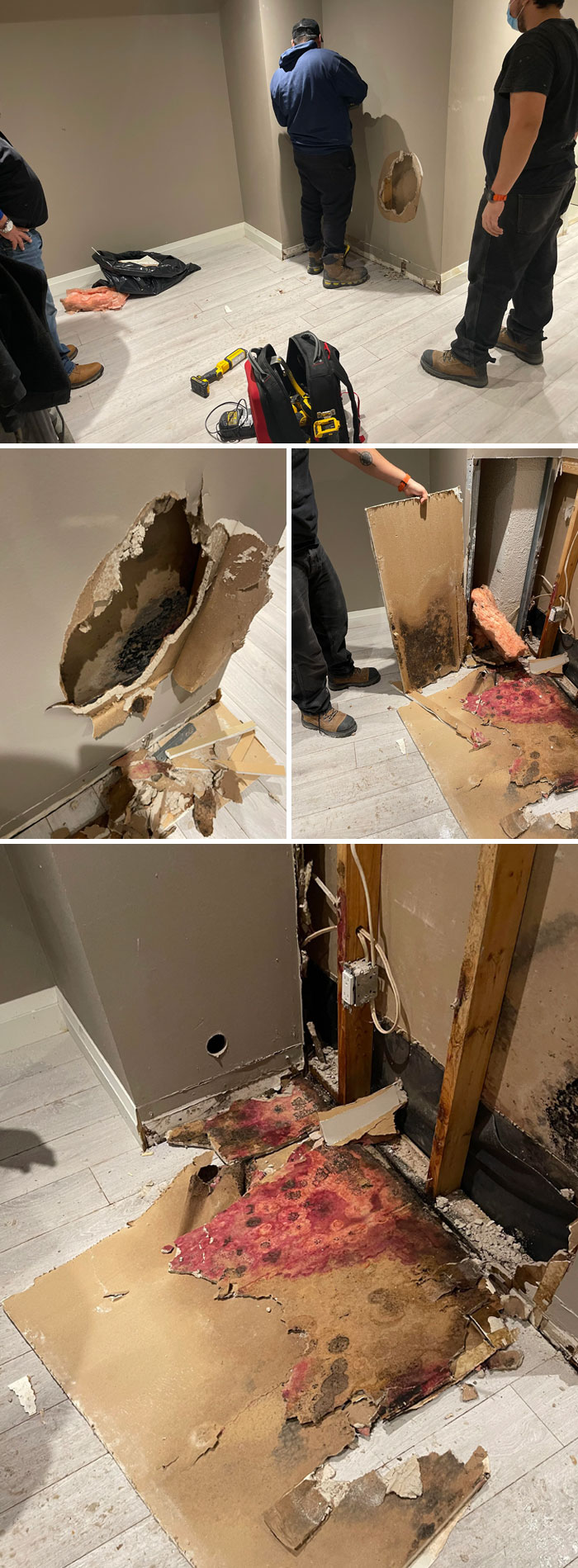 Bought A House In A Bidding War So Inspection Waived. Moving In I Dented The Wall And Made A Hole. This Was Behind The Hole