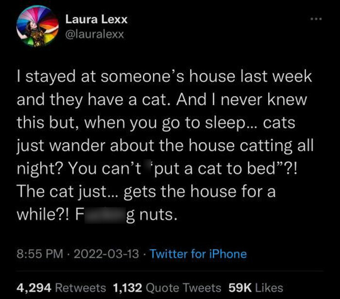 Funny-Cat-Pics-Memes