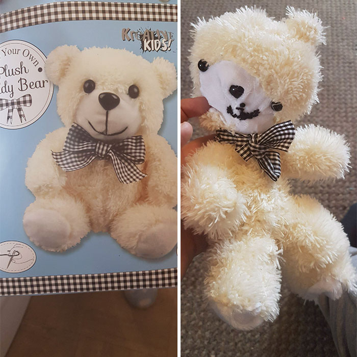 My Mum Tried To Make My Sister A Teddy Bear. I Present Quasimodo In Bear Form