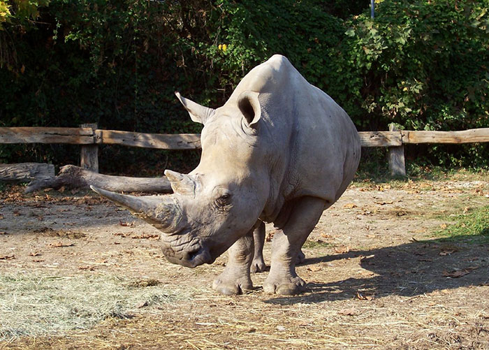 25 Divertidos nombres alternativos pero acertados que los niños dan a las cosas