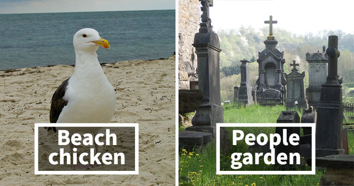 People Share 50 Hilariously Accurate Names Kids Gave Things After Guy Reveals What His Niece Calls Aquariums