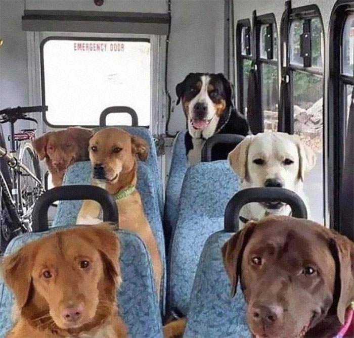 Funny-No-Context-Pics-Junkmanbaby