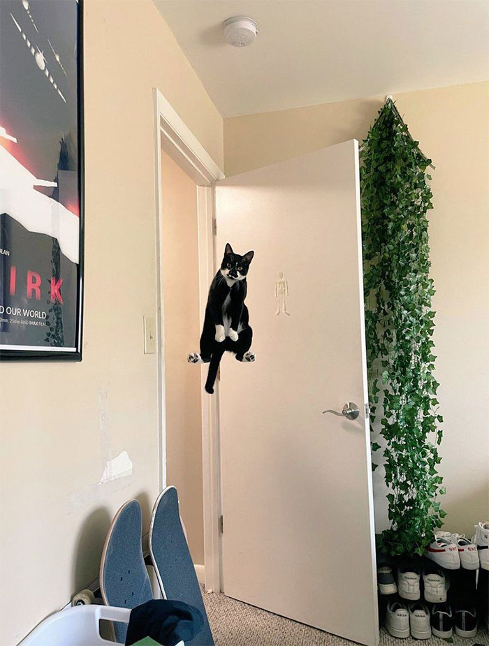 Funny-No-Context-Pics-Junkmanbaby