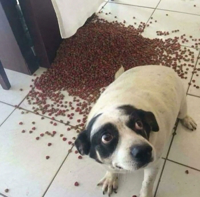 Funny-No-Context-Pics-Junkmanbaby