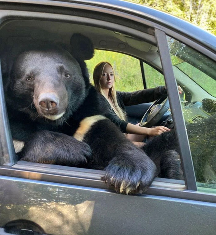 Funny-No-Context-Pics-Junkmanbaby