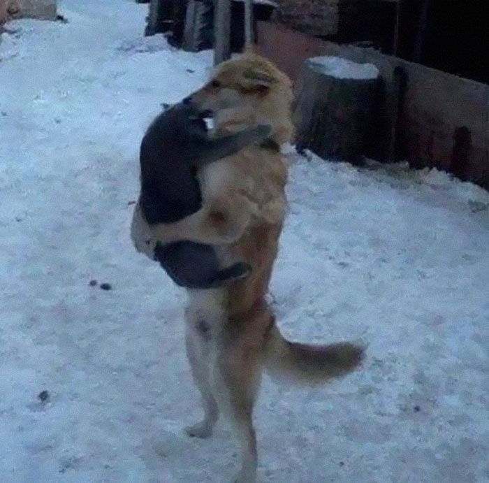 Funny-No-Context-Pics-Junkmanbaby