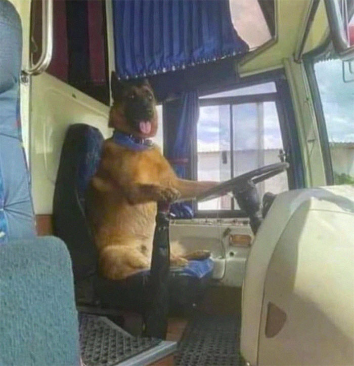 Funny-No-Context-Pics-Junkmanbaby