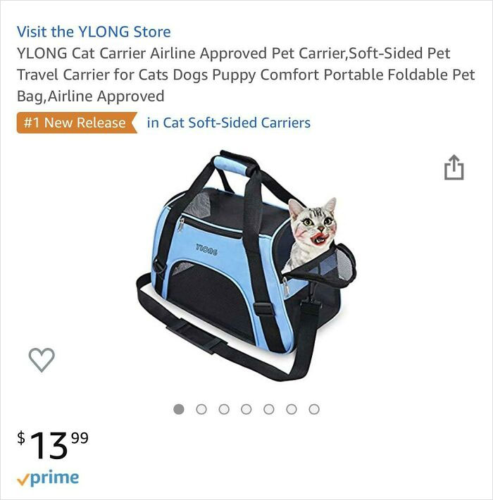 This Cat... Is Wearing Makeup?