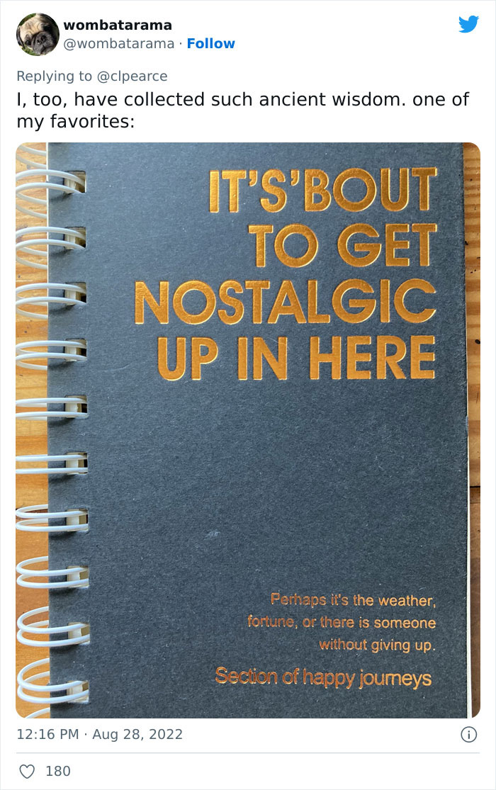 Guy Shares Hilariously Absurd English Quotes Found On Products In Japan Guy Shares Hilariously Absurd English Quotes Found On Products In Japan