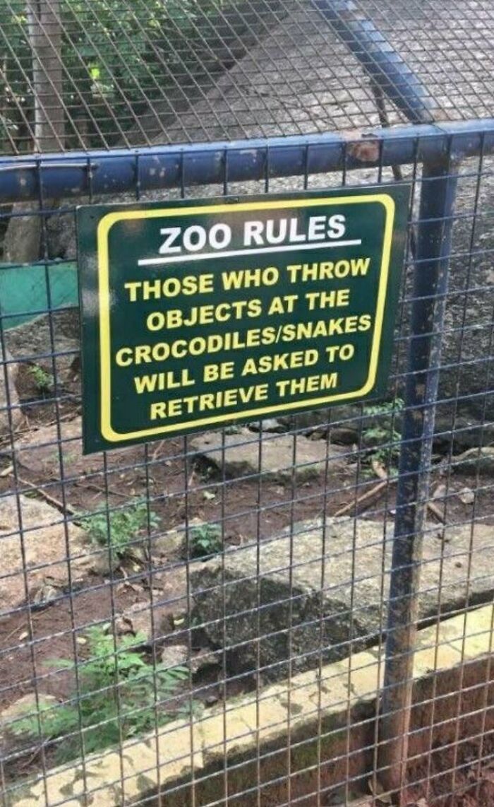 A Trip To The Zoo