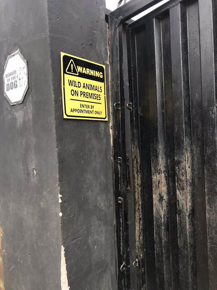 Seen This One In My Hood