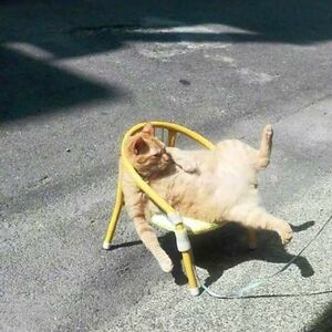 thisisnotmymug avatar