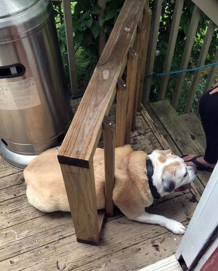 My Old Boy Got Himself Stuck