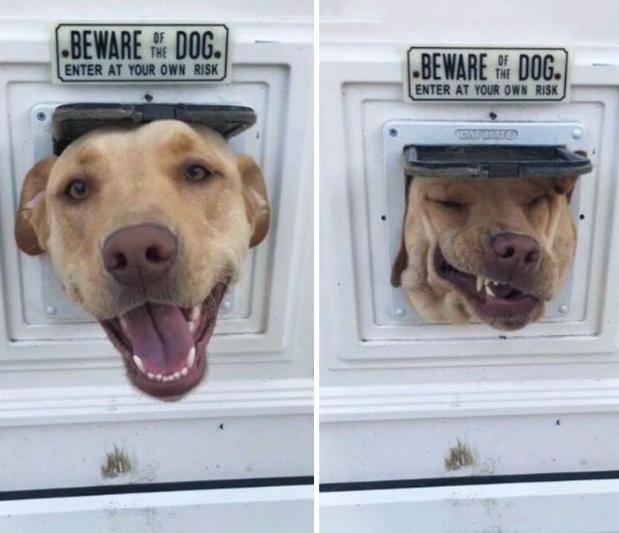 What Goes In Doesn’t Always Come Out