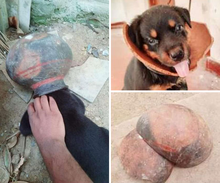 He Stuck His Head In A Clay Pot