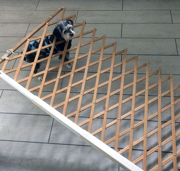 That Time Calvin Got Stuck In The Baby Gate