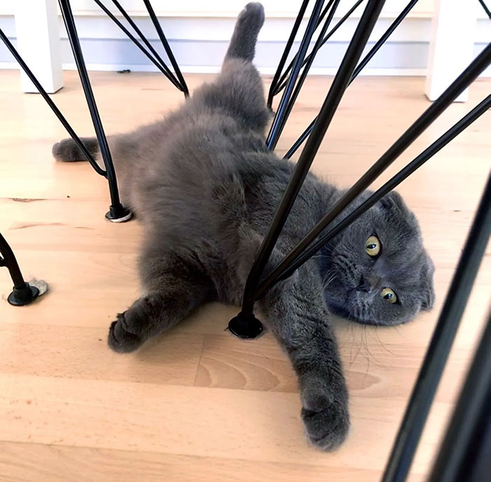 I Think I’m A Little Stuck Here, So If You Would Quit Laughing And Help Me Out, I Would Appreciate That. Thank You