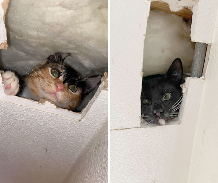 Ugh These Guys Are Always Up To No Good