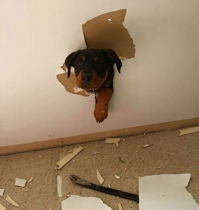 Mom, Did You Call Me?