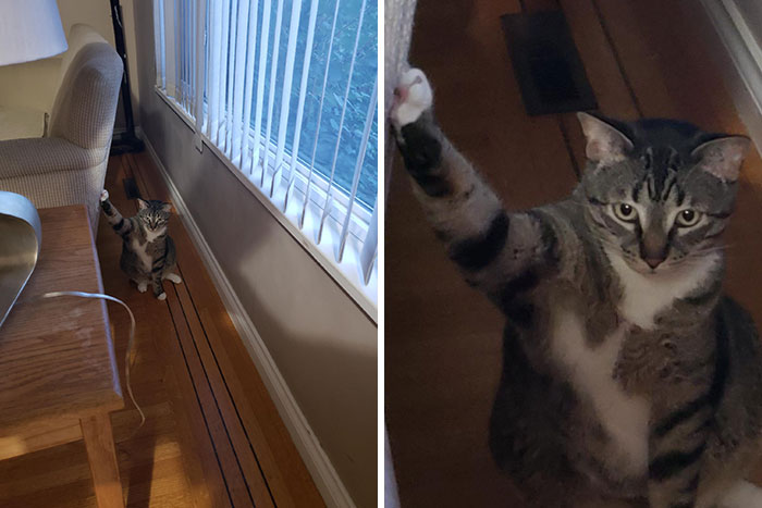 Stuck. This Is His Look Of Acceptance