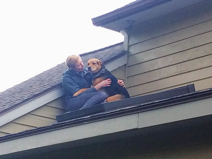 Somehow Our Dog Opened The Upstairs Screen Door And Ended Up Following Our Cat Onto The Roof. He Required Consoling Before Coming Back Inside
