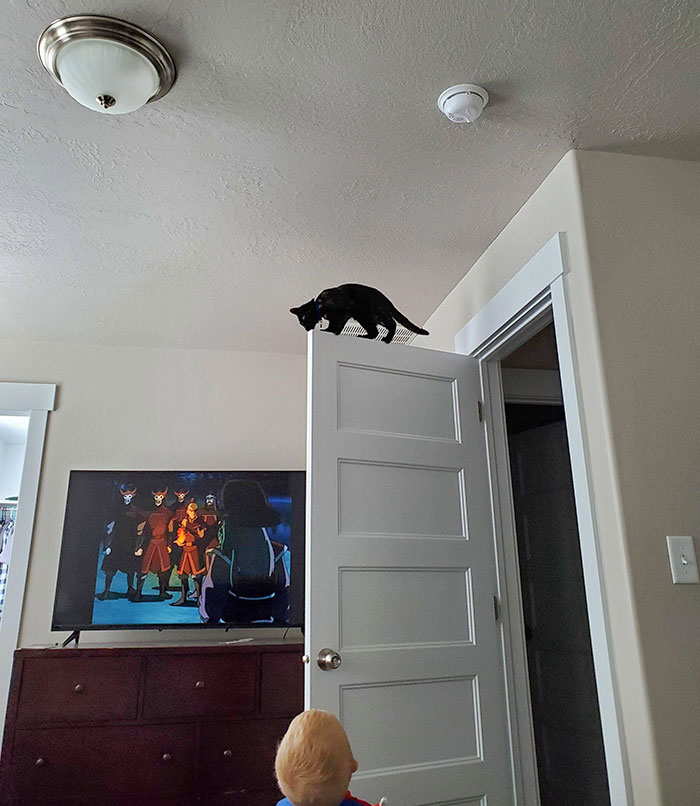 She Immediately Regretted This