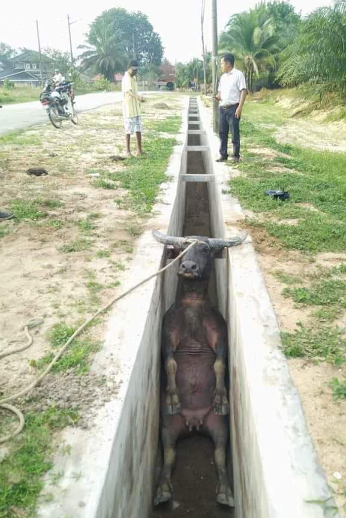 "I Am So Done With My Life Now"