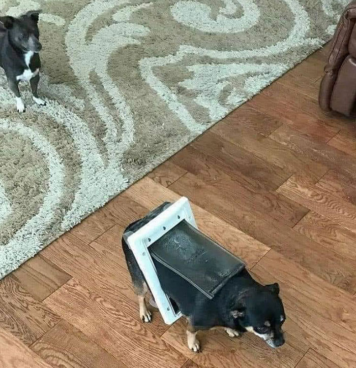 Mistakes Have Been Made