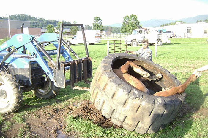 Horse Stuck In A Tire