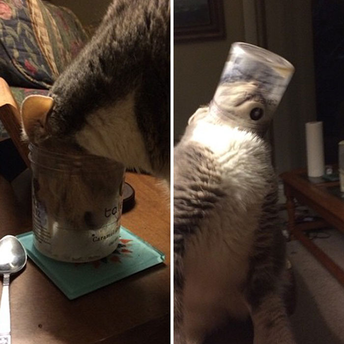 I Have Made A Huge Mistake