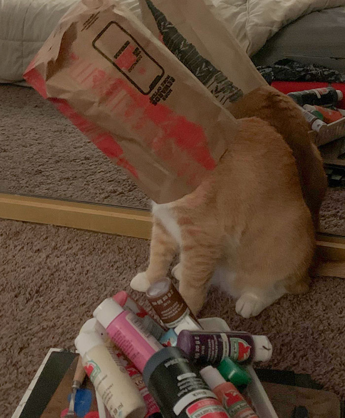 The One Brain Cell Got Stuck In A Del Taco Bag. Again