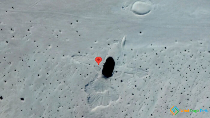 Pájaro en la arena. Xinjiang, China